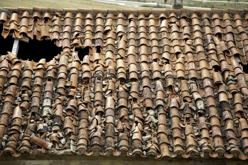 Causes Of Cracked And Broken Roof Tiles
